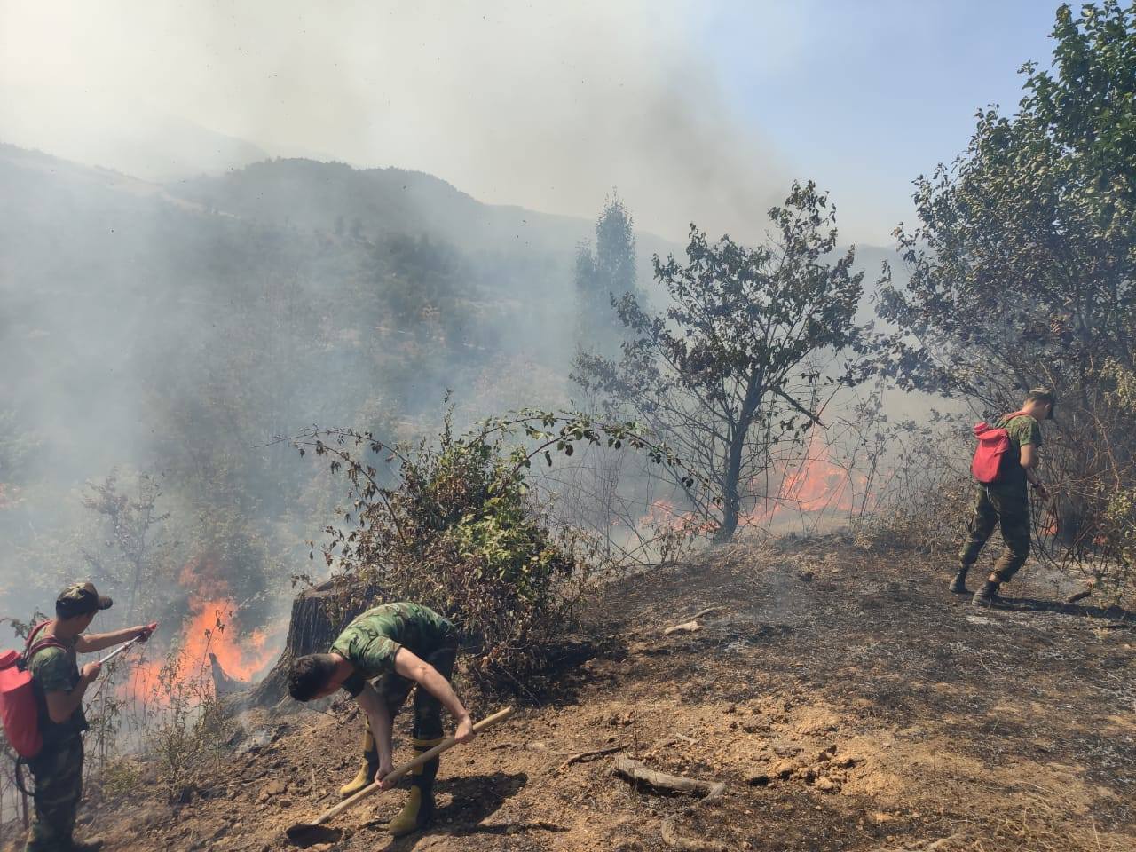 В Азербайджане потушен крупный лесной пожар