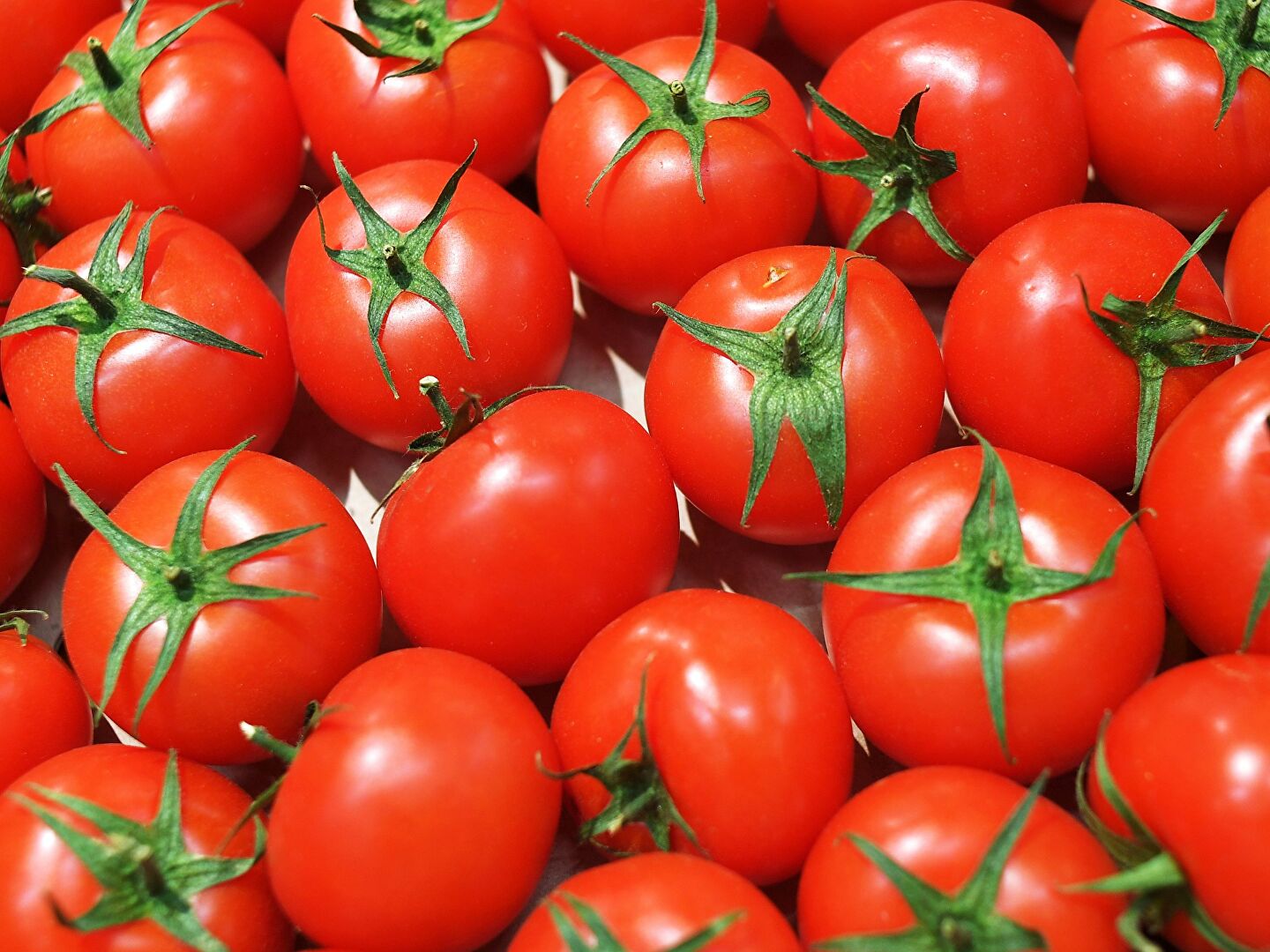 Казахстан запретил ввоз томатов из Азербайджана