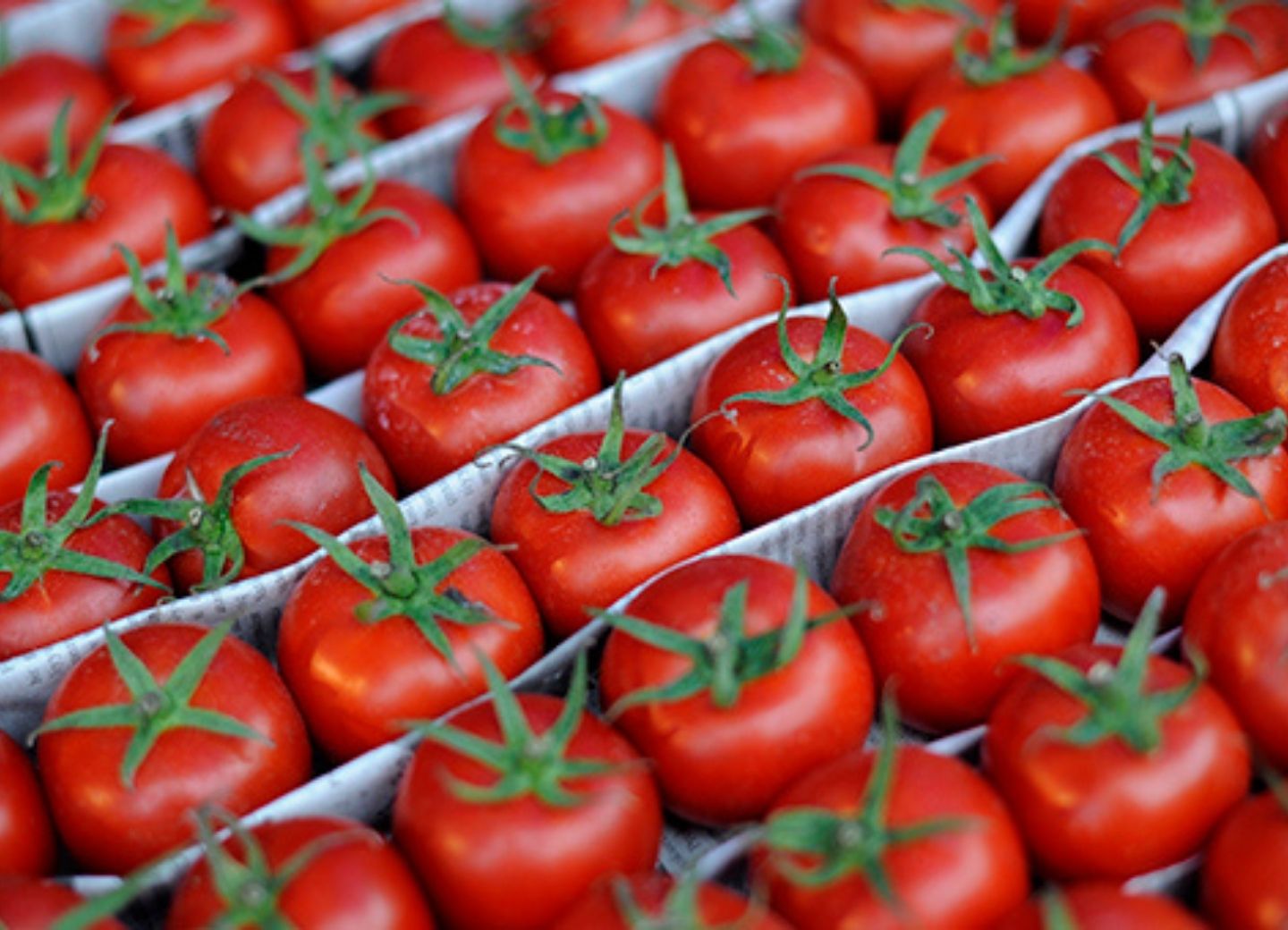 Азербайджан и Россия обсудят ситуацию, связанную с поставками томатов