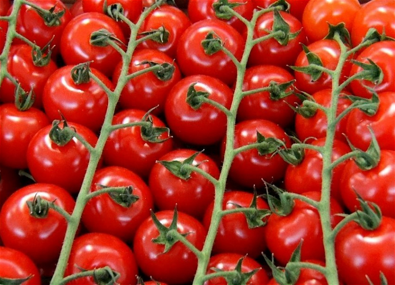 С начала февраля свыше 50 тонн томатов из Азербайджана не допущены к ввозу на территорию РФ