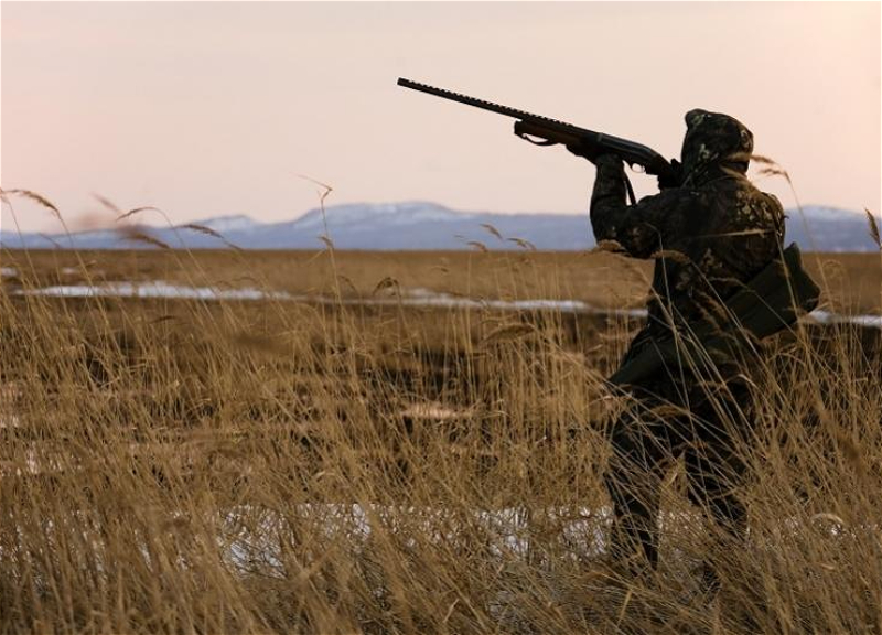 Названа дата окончания сезона охоты в Азербайджане