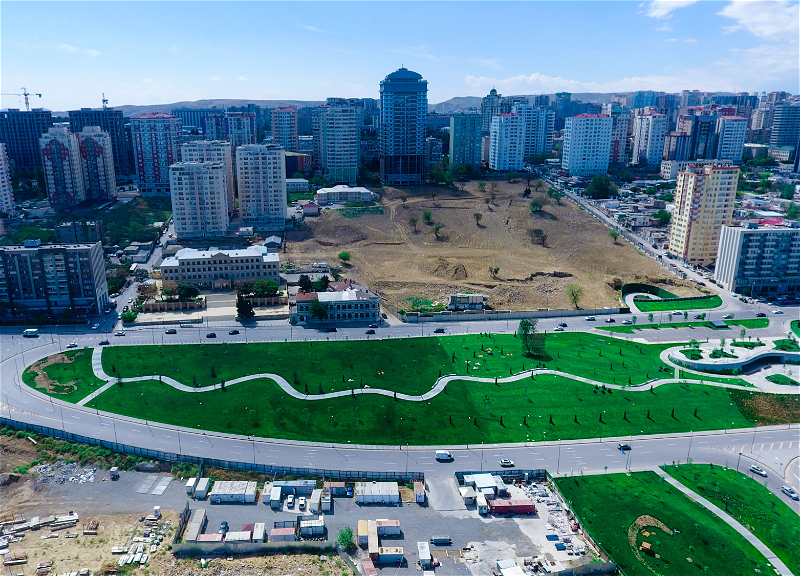 «Лес в центре Баку»: Новый облик Центрального парка – ФОТО