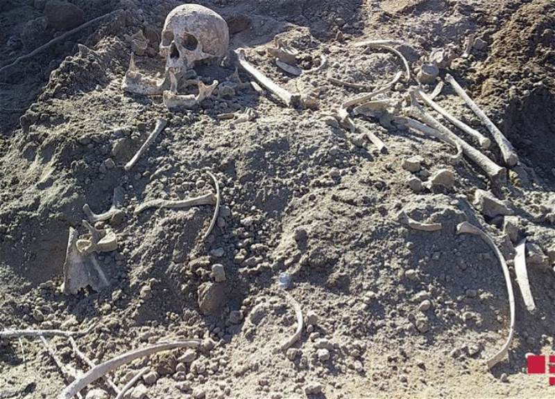 Во время раскопок в Агдаме найдены человеческие останки - ФОТО