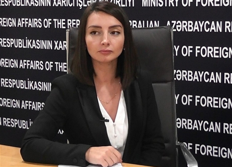 Leyla Abdullayeva: “Bəzi ölkələrin parlamentarları öz qərəzli mövqelərini hər şeydə üstün tuturlar”