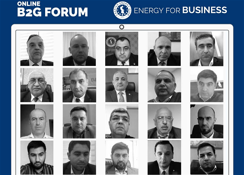 Caspian Energy Club организовал очередной Online B2G Forum