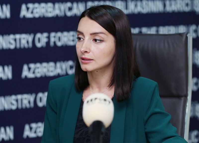Лейла Абдуллаева: Члены диверсионно-террористической группы не могут считаться военнопленными