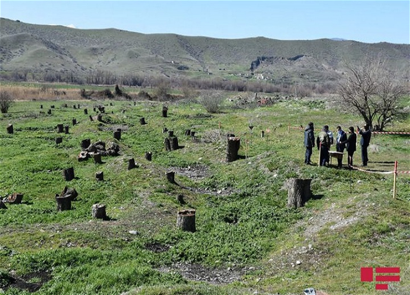 Xarici diplomatlar Qubadlıda Ermənistanın törətdiyi ekoloji terroru öz gözləri ilə görüblər - FOTO