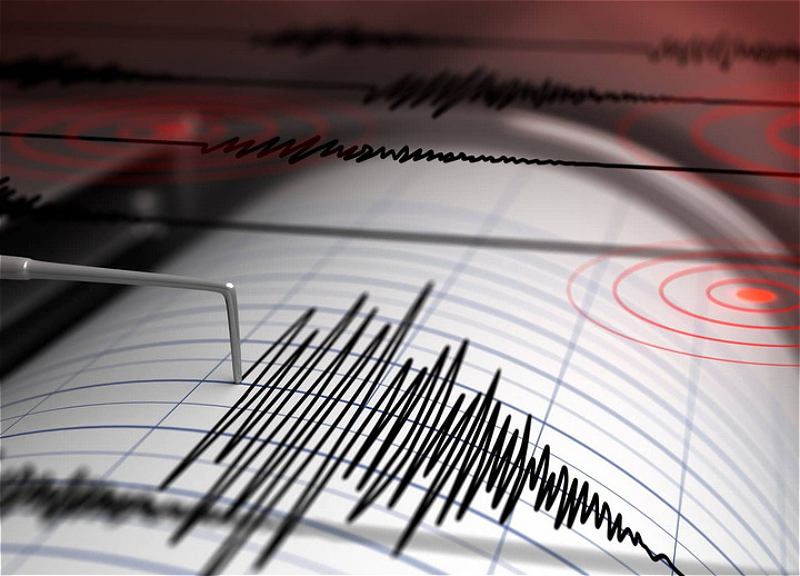 У берегов Новой Зеландии произошло землетрясение магнитудой 6,4