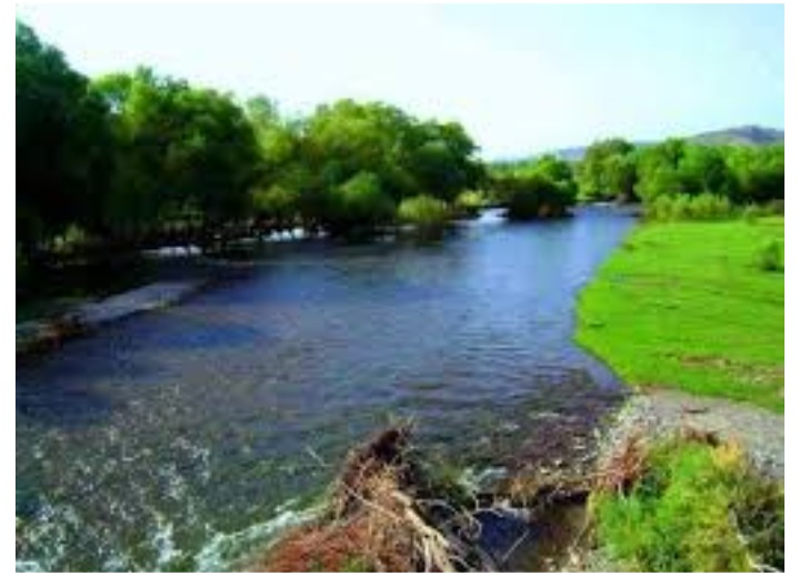 Загрязнение Арменией реки Охчучай привело к массовой гибели рыб