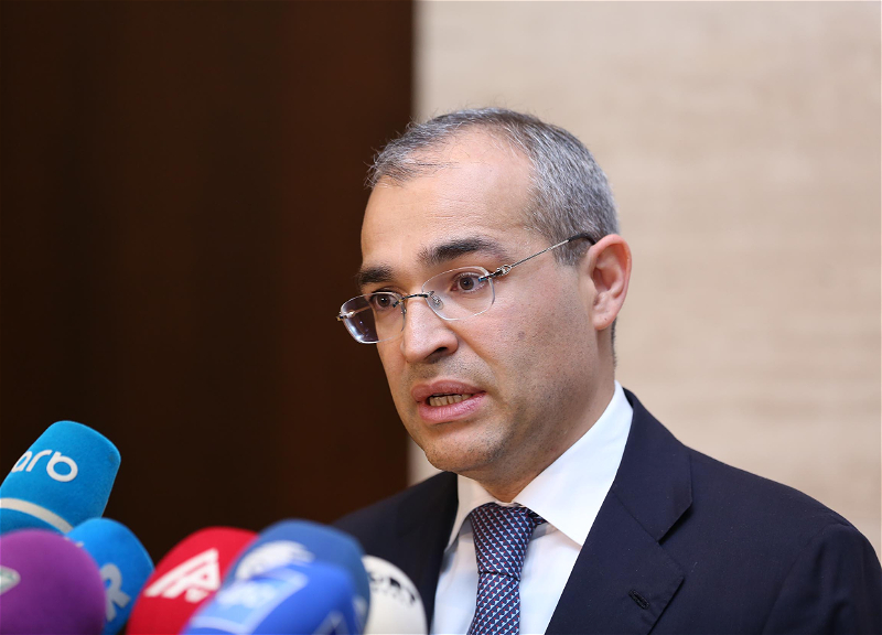 Микаил Джаббаров: Азербайджанские предприниматели получили субсидии более чем на 34 млн манатов