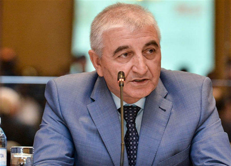 Президент Азербайджана наградил Мазахира Панахова орденом «Шараф»