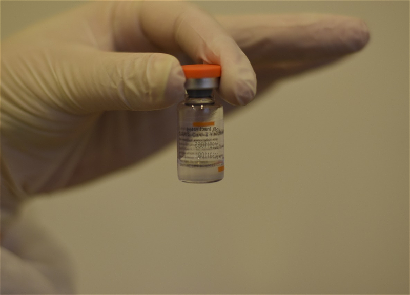 Главврач бакинской поликлиники: «В день вакцинируются до 180 человек от 40 до 100 лет»
