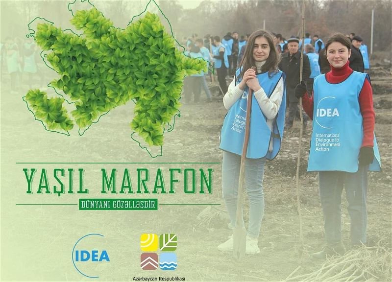 В Азербайджане стартовала кампания по посадке деревьев «Зеленый марафон» - ФОТО