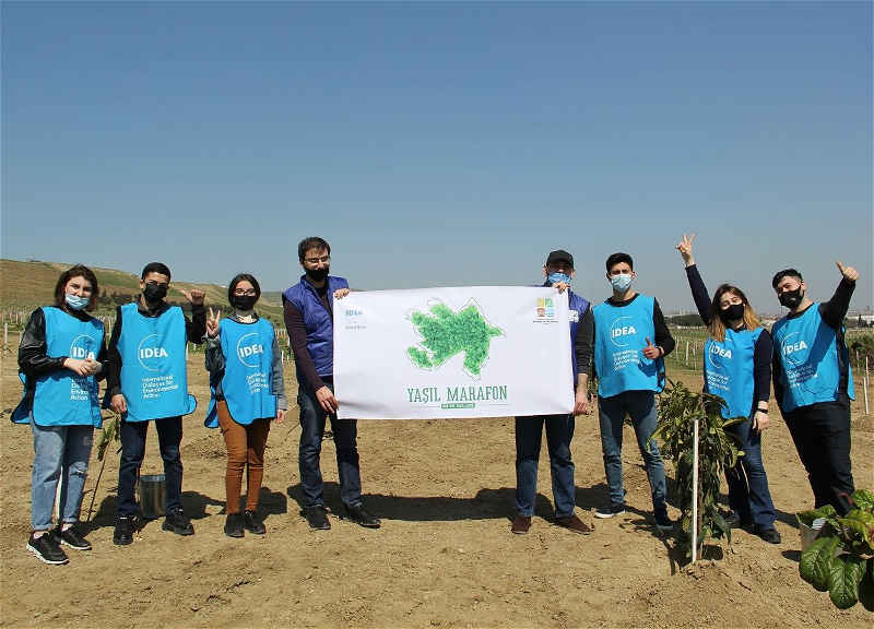 В Баку прошли акции по посадке деревьев в рамках проекта «Зеленый марафон» - ФОТО