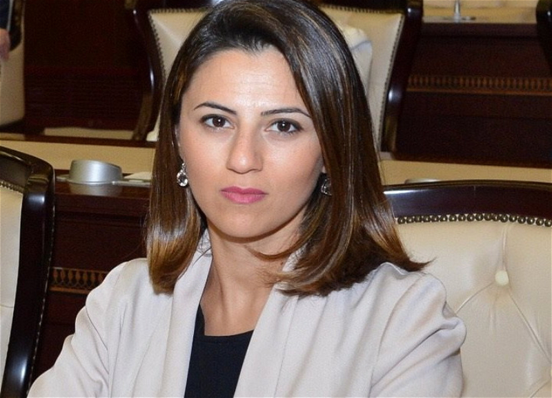 Депутат: Международные структуры должны расследовать и дать оценку применению Арменией ракеты «Искандер»