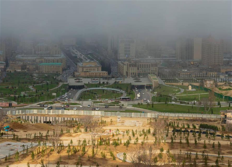 В новой части Центрального парка Баку посажены сотни деревьев – ФОТО