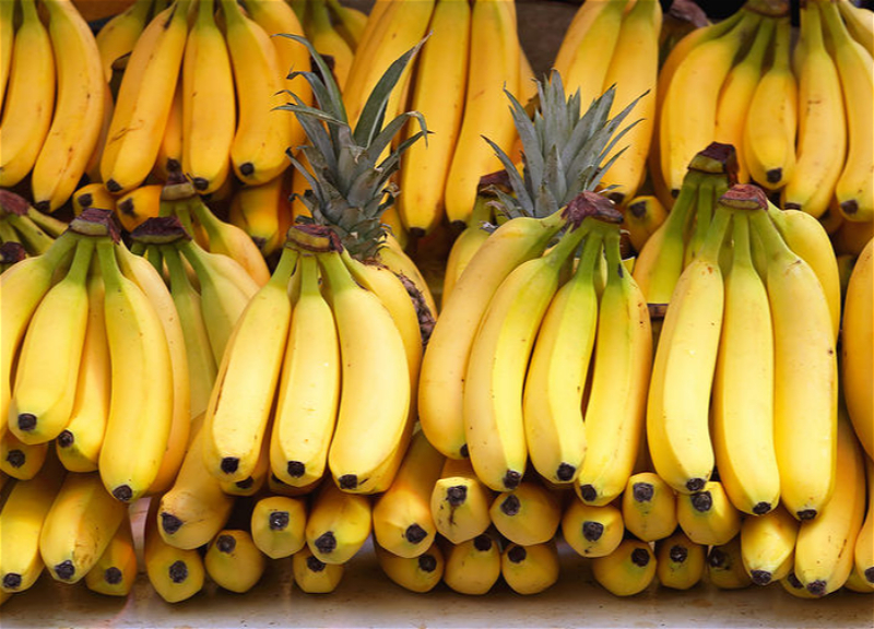 Мир может остаться без бананов из-за почвенного гриба