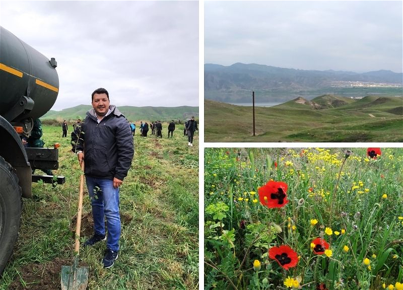 «Солнце надежды над Карабахом»: Священная земля Губадлы, Зангилана и Джебраила встречает своих сыновей – ФОТО