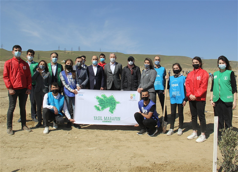В Баку в рамках проекта «Зеленый марафон» прошла акция по посадке деревьев - ФОТО