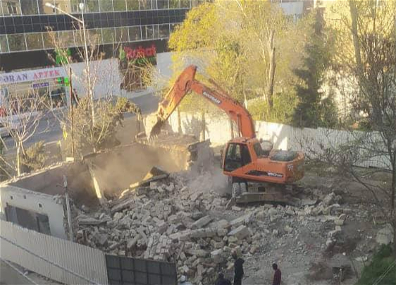 В Баку при строительстве «объекта» вырубили деревья - ФОТО
