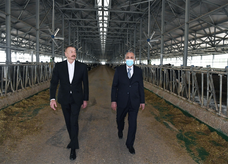 Ильхам Алиев открыл «Шамахинский Агропарк Azersun» в Гаджигабуле - ФОТО
