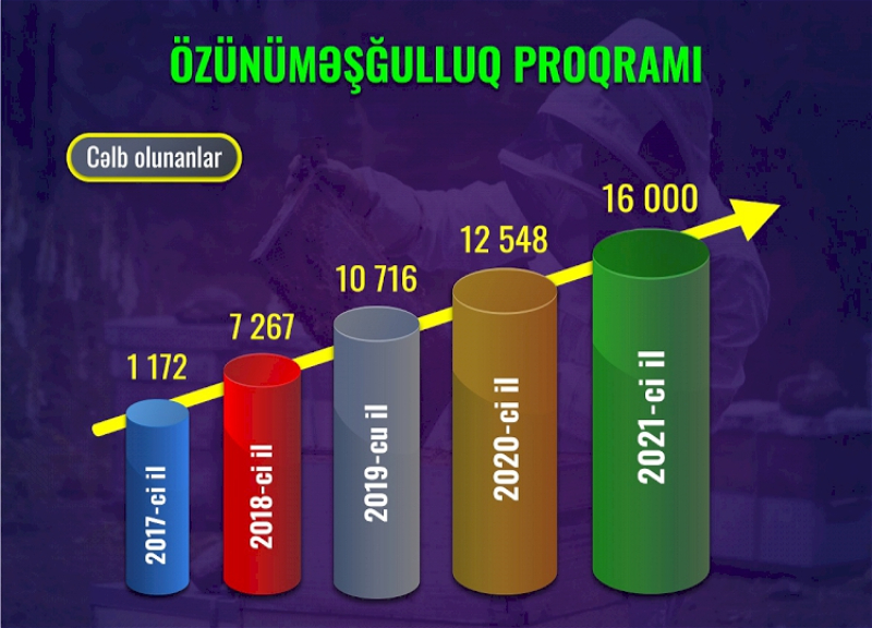 В Азербайджане более чем в 13 раз увеличится число привлеченных к программе самозанятости