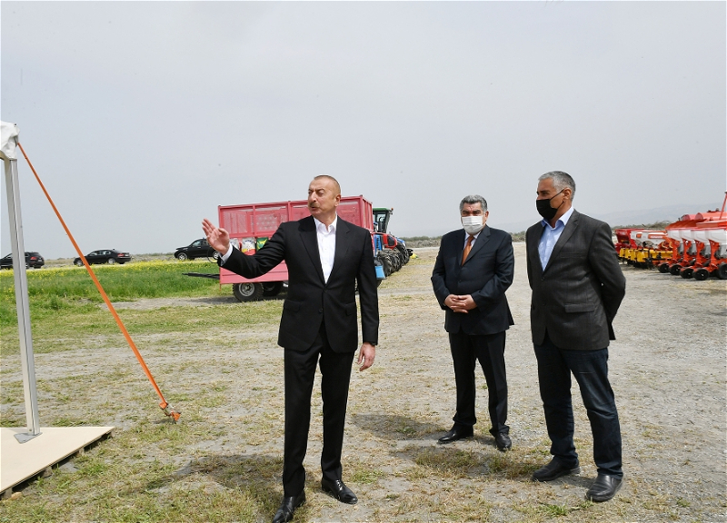 Ильхам Алиев посмотрел процесс посева на хлопковом поле гаджигабульского фермера - ФОТО