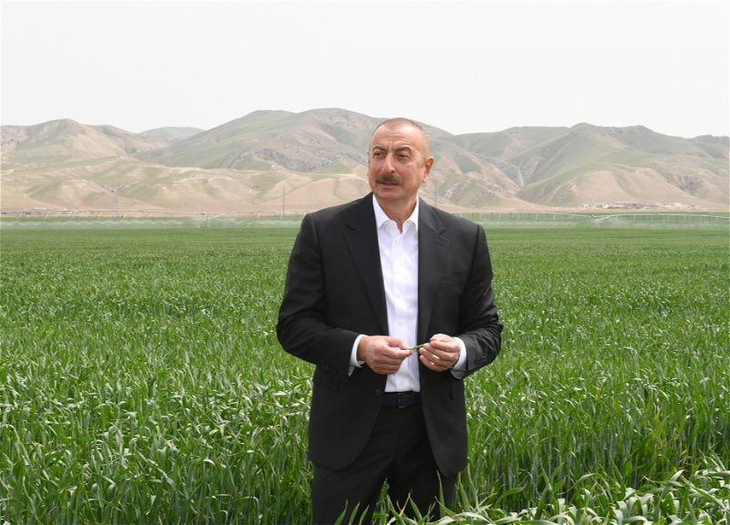 Свет, дороги, продовольственная безопасность. Ильхам Алиев обозначил важные элементы возрождения Карабаха
