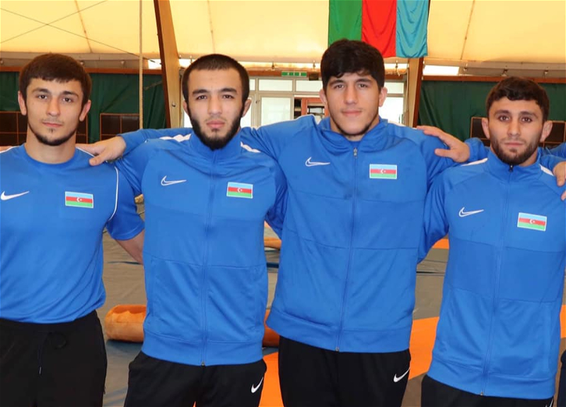 Сигнал для Федерации борьбы: Как молодые азербайджанцы затмили легионеров на ЕВРО