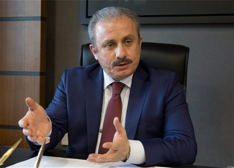 Шентоп: Армения - государство, представляющее угрозу для Азербайджана и региона в целом