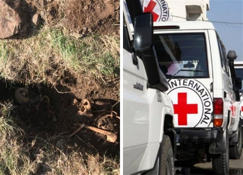 Генпрокуратура проинформировала МККК о нахождении тел жертв Башлыбельской трагедии