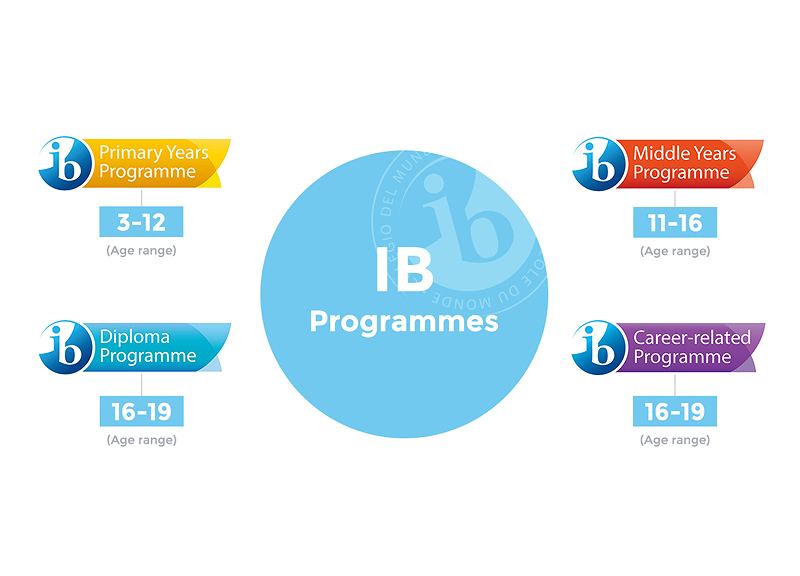Международный бакалавриат: О лучшей в мире программе обучения, доступной в Баку - ВИДЕО