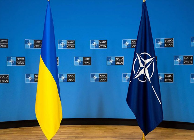 В США заявили, что поддерживают вступление Украины в НАТО