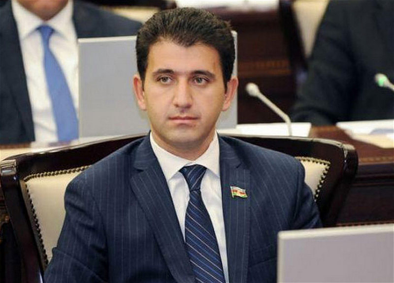 “Dünya ictimaiyyəti Azərbaycan Ombudsmanının hesabatı ilə yaxından tanış olmalıdır”