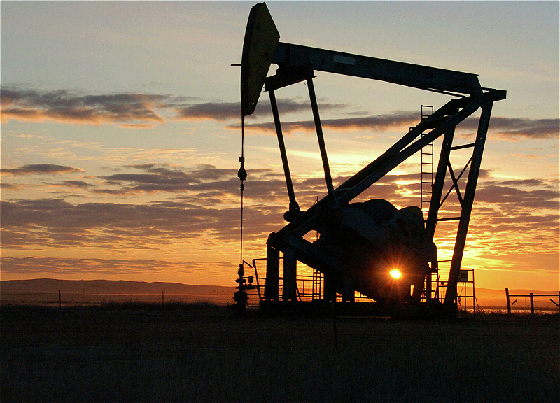 Цены на нефть вновь выросли