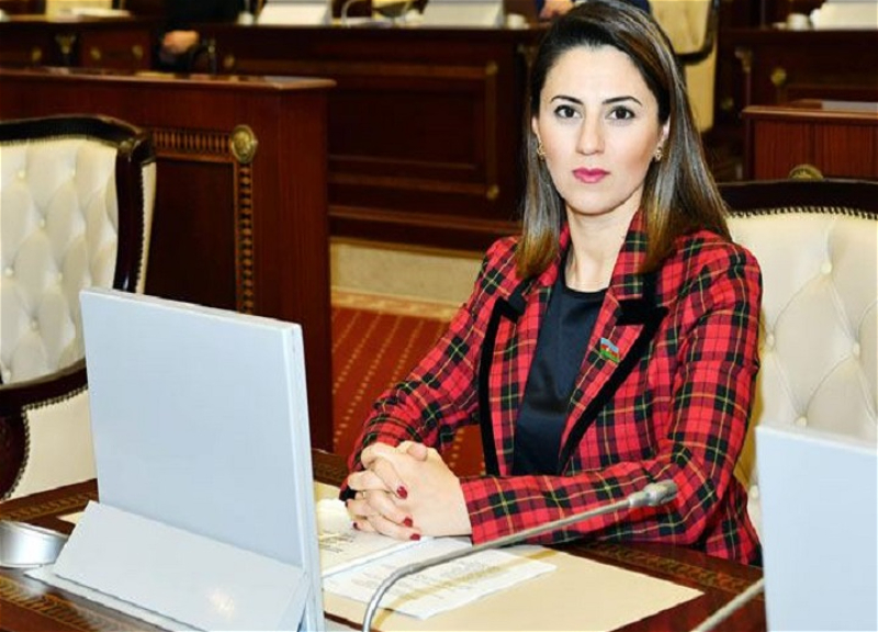 Deputat: Zəngəzur dəhlizinin yaradılması Naxçıvanın blokadasına son qoymaqla yanaşı, türk dünyasını birləşdirəcək