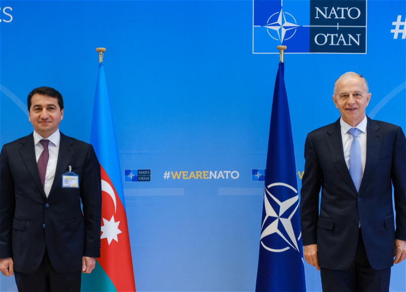 Хикмет Гаджиев провел встречу с заместителем генсека НАТО - ФОТО