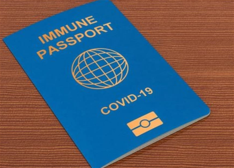 Как получить ковид-паспорт: подробная инструкция от Госагентства