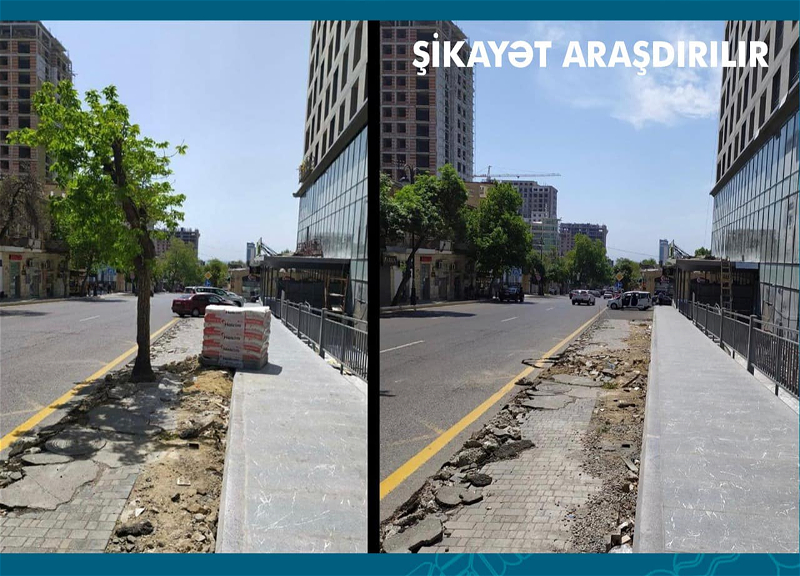 В центре Баку «срезали» тротуар и срубили зеленое дерево – ФОТОФАКТ