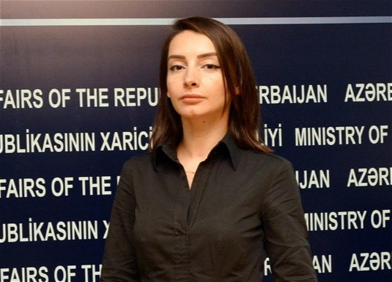 Лейла Абдуллаева: Провокация Армении в Кяльбаджарском направлении - нарушение трехстороннего заявления
