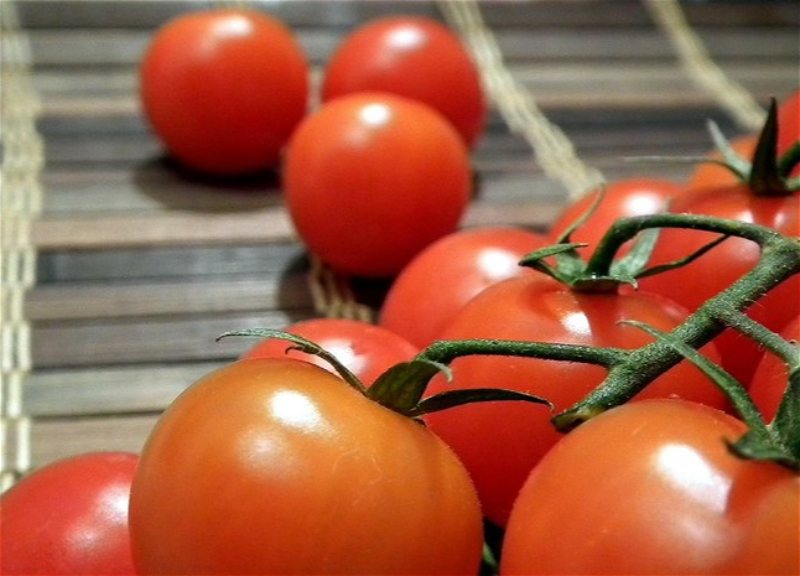 Минсельхоз РФ увеличил квоту на ввоз томатов из Турции