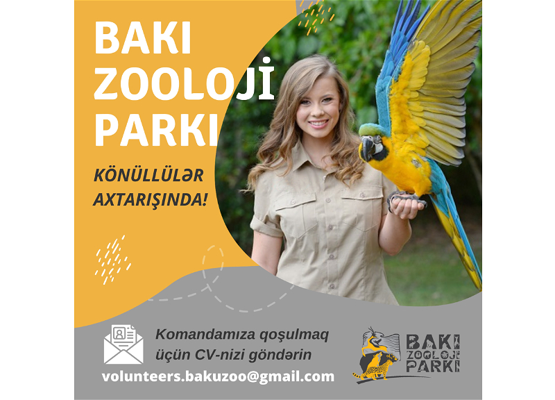 Бакинский зоопарк ищет волонтеров, любящих животных