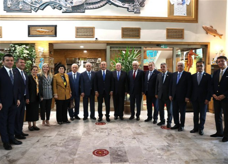 Мевлют Чавушоглу встретился с парламентской делегацией Азербайджана