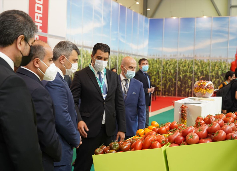 В Баку продолжается работа выставок InterFood Azerbaijan 2021 и Caspian Agro 2021 - ФОТО