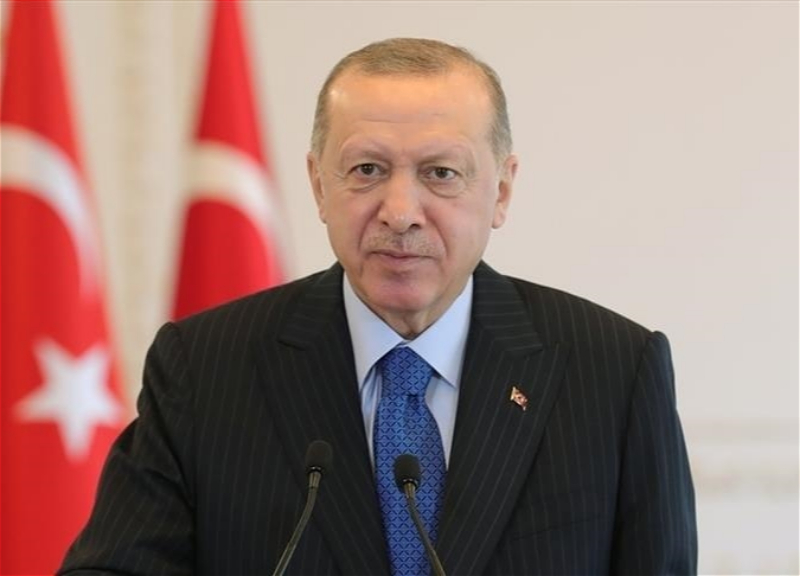 Эрдоган: У Турции, Азербайджана и России есть решимость сделать регион процветающим.