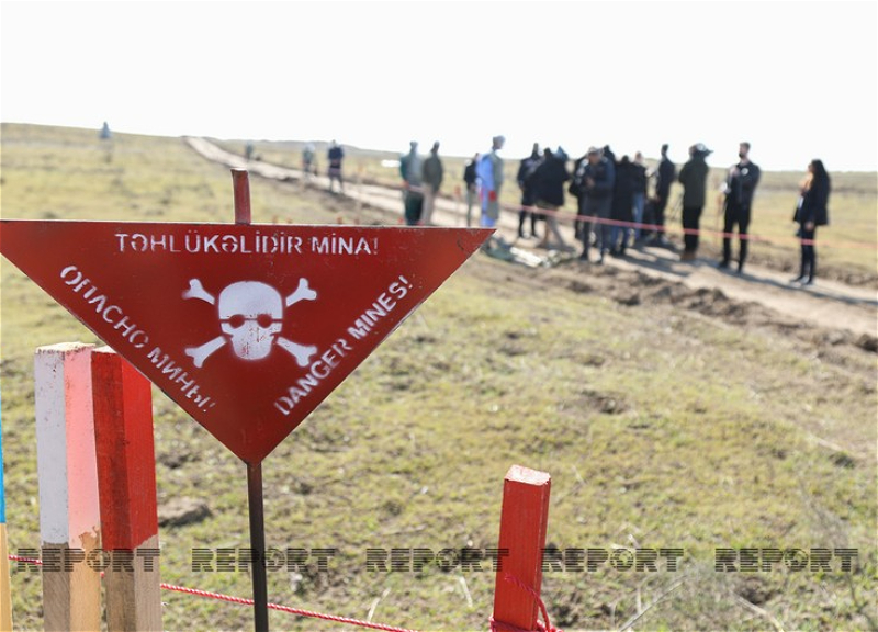 Военные эксперты, офицеры запаса Украины призвали Армению выдать все карты минных полей