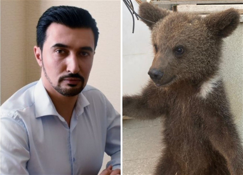 Фарид Мансуров о спасенном медвежонке, у которого убили мать: «Эта история - лишь часть огромной проблемы» - ФОТО - ВИДЕО