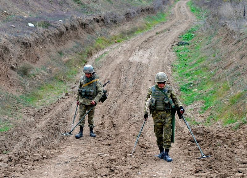 Минобороны прокомментировало информацию о недостоверности части предоставленных Арменией карт минных полей