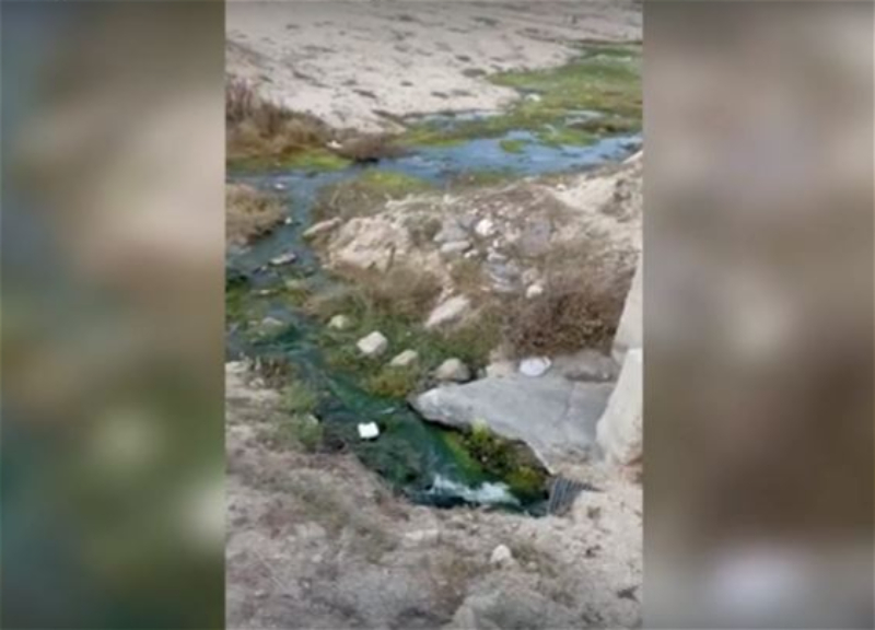 На известный бакинский пляж сливают канализацию: Вмешалось министерство - ВИДЕО