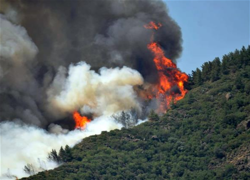 В результате лесного пожара в Турции погиб один человек - ВИДЕО - ОБНОВЛЕНО
